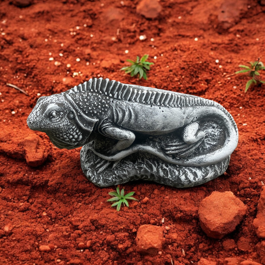 Concrete Lizard Statue £5